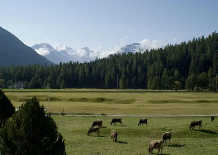 Chesa Bellavista By Interhome بيفير